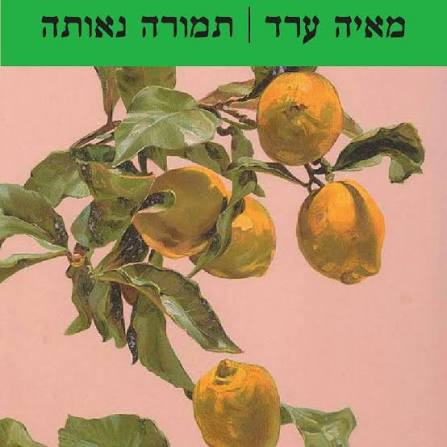 תמורה נאותה כריכה