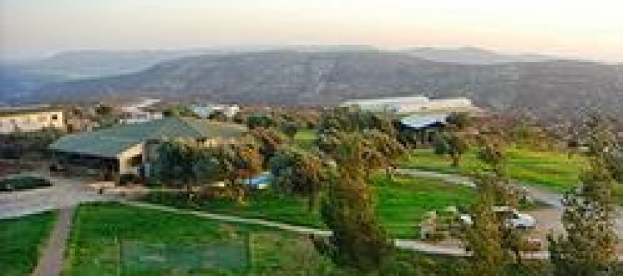 מאחז באיוש