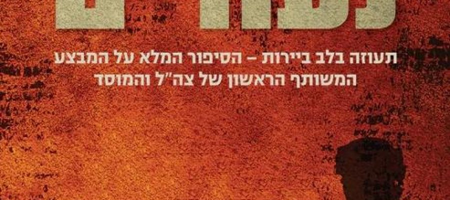 כריכה ספר אביב נעורים הוצאת ידיעות אחרונות